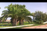 Nissi Beach 2012 – Cyprus – Travel – Full HD